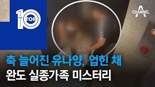 축 늘어진 유나양, 업힌 채…완도 실종가족 미스터리 | 뉴스TOP 10