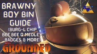 Brawny Boy Bin Guide (Burg-L Chip, Bee Bee Q Medley, Health & Safety Badge) | Easy Grounded Guides