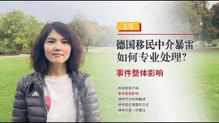 德国移民中介暴雷如何专业处理-事件整体影响