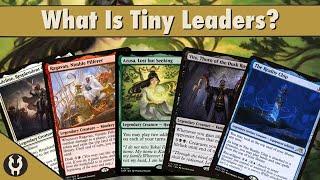 What Is Tiny Leaders?