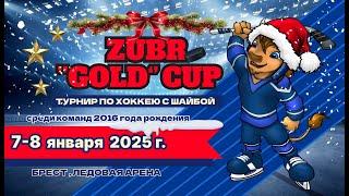 7.01.2025. ZGC. 2016. ПС. Брест-1 - Динамо-Джуниверс-2