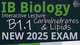 NEW 2025 EXAM - IB Biology B1.1 - Carbohydrates & Lipids [SL/HL] - Interactive Lecture