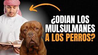 ¿POR QUÉ LOS MUSULMANES NO PUEDEN TENER PERROS?