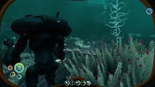 Subnautica: Taking the S.S.Blaster to the Lost river base (play Thru #40) #subnautica #survival