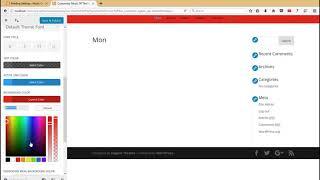 03 Customizing Divi Theme Color and Menu Settings