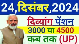 आज 24, दिसंबर 2024 | दिव्यांग पेंशन कब तक | divyang pension kab aaegi | UP Viklang Kab Aayegi |