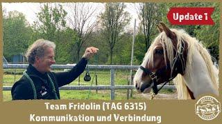 MUSTANG MAKEOVER 2021 - Team Fridolin (TAG 6315) - Kommunikation und Verbindung