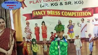 Fancy Dress Competition 2024-25