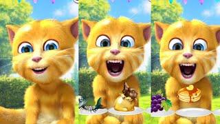 talking ginger funny cat episodes  eating healthy fruit ️ #catlover #funnyvideo #catvideos