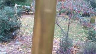 Simple Squirrel and Raccoon Barrier for Bird Feeders