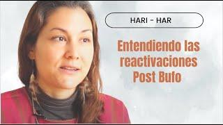 HariHar  - Reactivaciones Post Bufo!