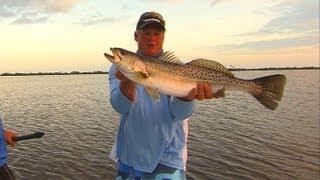 Topwater Speckled Trout Fishing on Mirrolure Top Dog Mosquito Lagoon