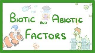 GCSE Biology - Biotic and Abiotic Factors  #83
