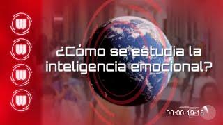 ¿Cómo se estudia la inteligencia emocional?