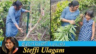 சூறாவளி புயல் in our Garden | Steffi Vlog in Tamil