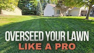 Overseed Your Lawn Like A Pro: 3 Must-Know Tips For Success