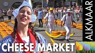 The cheese market at Alkmaar - Holland Holiday