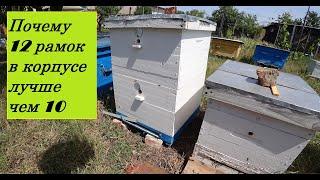 Dadan - a hive for powerful bee colonies and a large honey collection