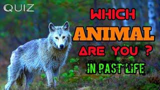 Which animal are you in your past life ? QUIZ