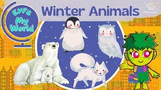 Winter Animals for Kindergarten | EYFS