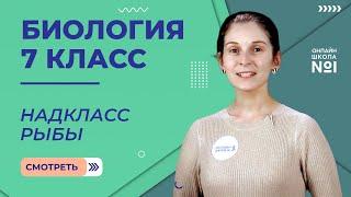 Надкласс Рыбы. Урок 18. Биология 7 класс