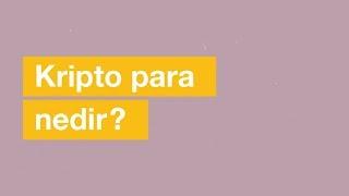 Kripto Para Nedir?