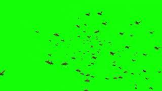 Green Screen Clips Bee Swarm Animated 3D