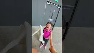 SAMANTHA NANGIS DI SINGAPURA  #shorts #short #viral  #viralshorts #viralvideo