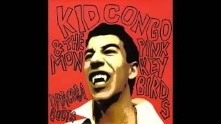 Kid Congo & The Pink Monkey Birds - Rare As The Yeti