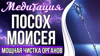 МОЩНАЯ ЧИСТКА ОРГАНОВ  Чистка Чакр и Меридиан