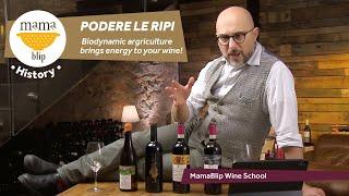 Sangiovese | Podere Le Ripi: biodynamic Agriculture Brings energy to your wine