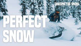 PERFECT SNOW FOR BACKCOUNTRY SNOWMOBILE IN SICAMOUS, BC – TRENCHERS