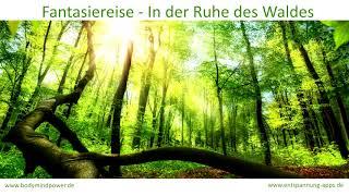 Fantasiereise - In der Ruhe des Waldes - herrlich entspannen oder einschlafen (Vollversion)