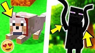 Ces NOUVELLES ANIMATIONS vont te faire MOURIR DE RIRE ! Minecraft