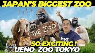 Tokyo Ueno Zoo: Japan's Largest Zoo II The wonderer of japan #zoo #uenozoo #japanvlog