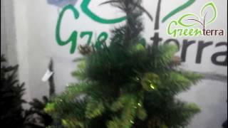 GreenTerra™ Елка Рапсодия, зеленая