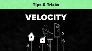 After Effects Tips & Tricks - Velocity
