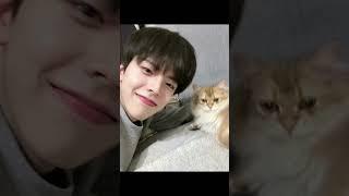 Isn’t it cute🫣? #shorts#tiktok #viral #style #korean #asian #ytshorts #youtubeshorts #cat #short