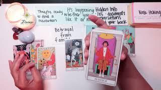 THE SHOCKING TRUTH IS COMING OUT ABOUT A FAMILY BETRAYAL🪰~COLLECTIVE TAROT READING 2023