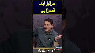 Faisal Raza Abidi's cracking statement | Israel Palestine Crisis  #Shorts