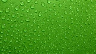 Copyright Free Animated Water Drops Green Screen Effect | Chroma Key | Royalty Free | Water Drops |