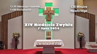 XIV Niedziela Zwykła | 07/07/2024