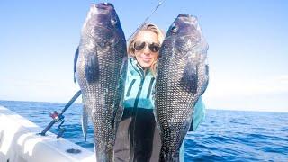 Nonstop Sea Bass Fishing Action + HOW TO - Catch and Cook