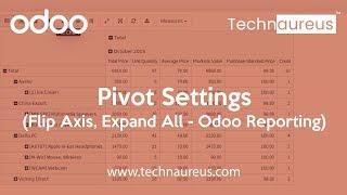 Pivot Settings in Odoo | Flip Axis | Odoo Reporting