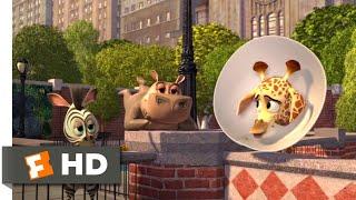 Madagascar: Escape 2 Africa (2008) - Baby Alex Goes to New York Scene (1/10) | Movieclips