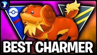 You NEED to get this *NEW* Pokemon! DACHSBUN is the BEST CHARMER in the GO BATTLE LEAGUE