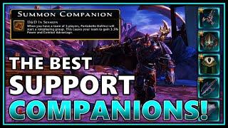 BEST Companions to Use in Party! (team support) Dread Warrior Fix & NEW DaVinci - Neverwinter M25