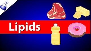 Lipids