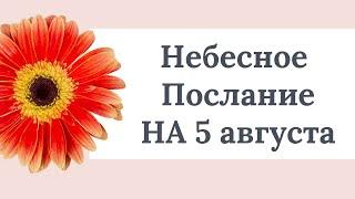 Небесное послание на 5 августа. Примите решение.