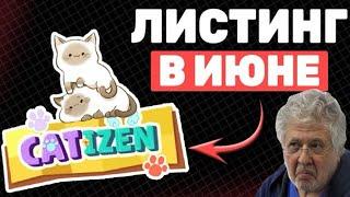 Дроп Catizen уже Близко? Как быстрее прокачать котов Кэтизен